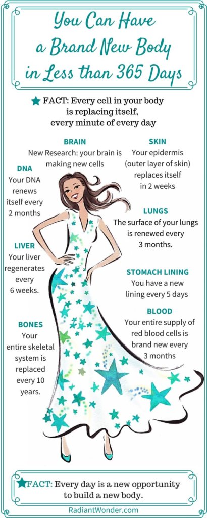 biological-clock