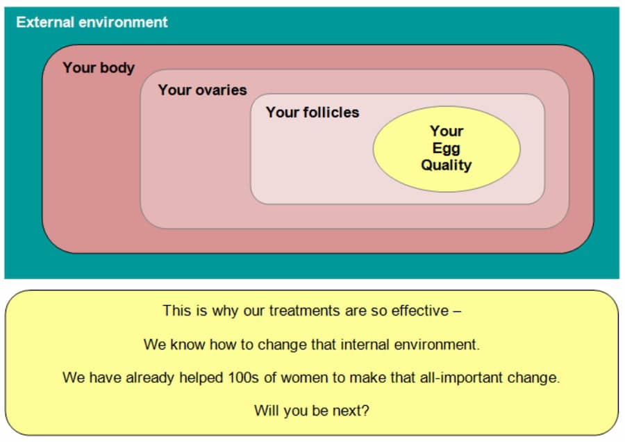 External Environment - Fertility - AMH